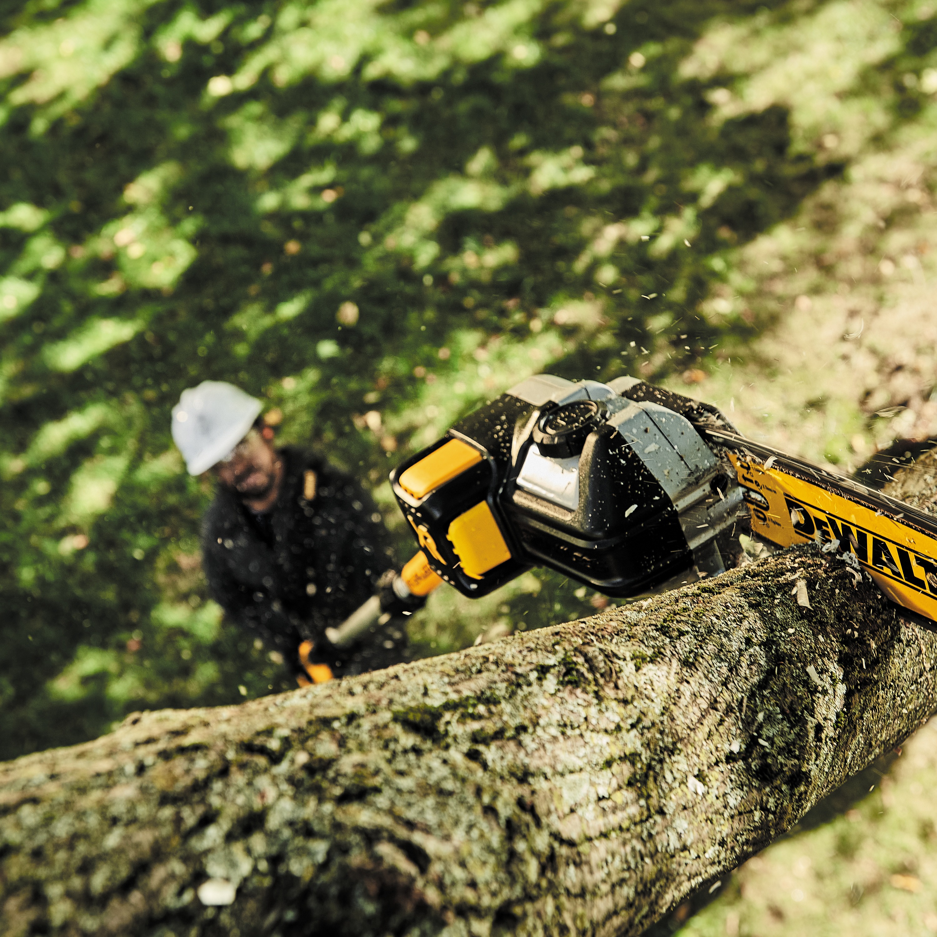 dewalt 20v pole chainsaw