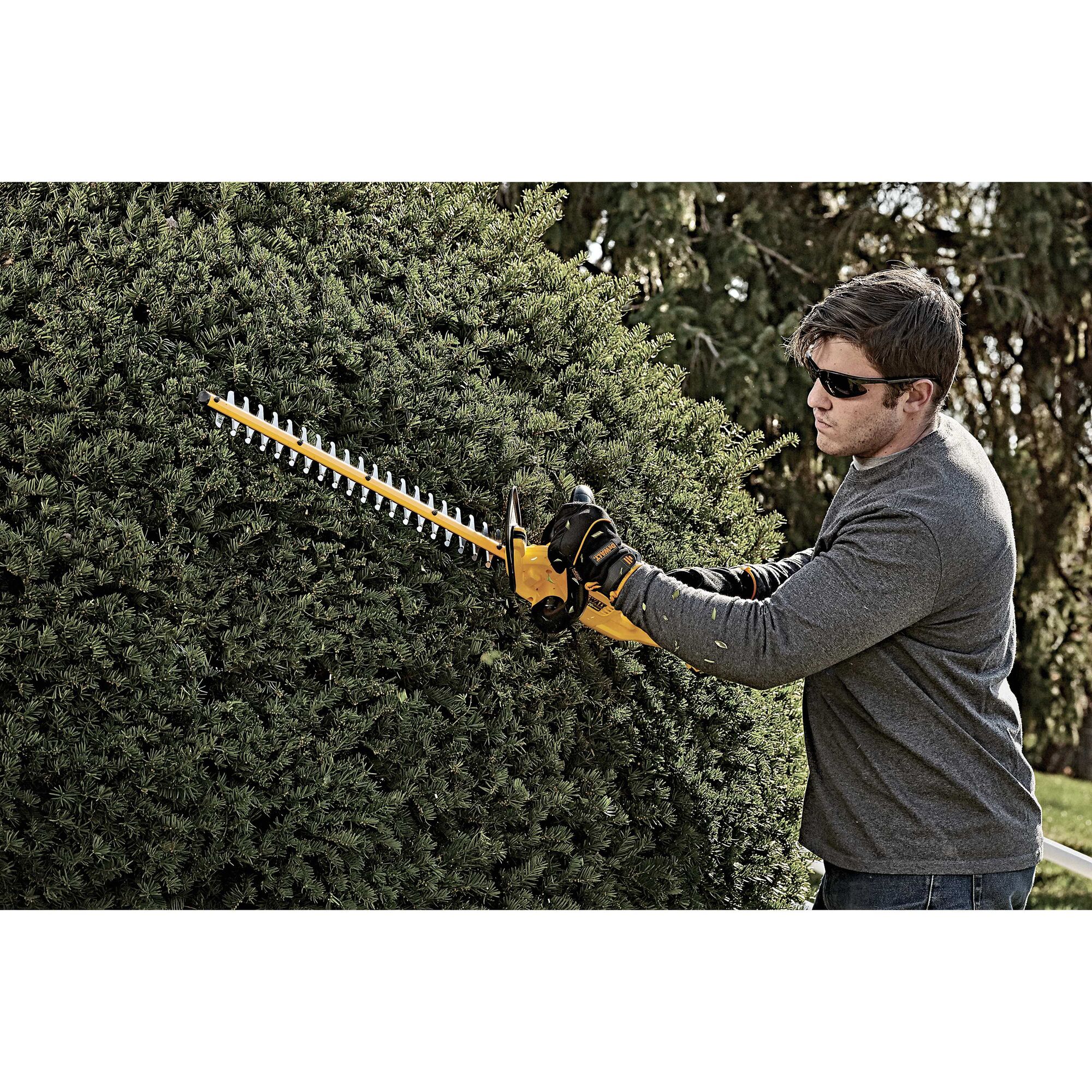 Dewalt hedge 2025 trimmer canadian tire