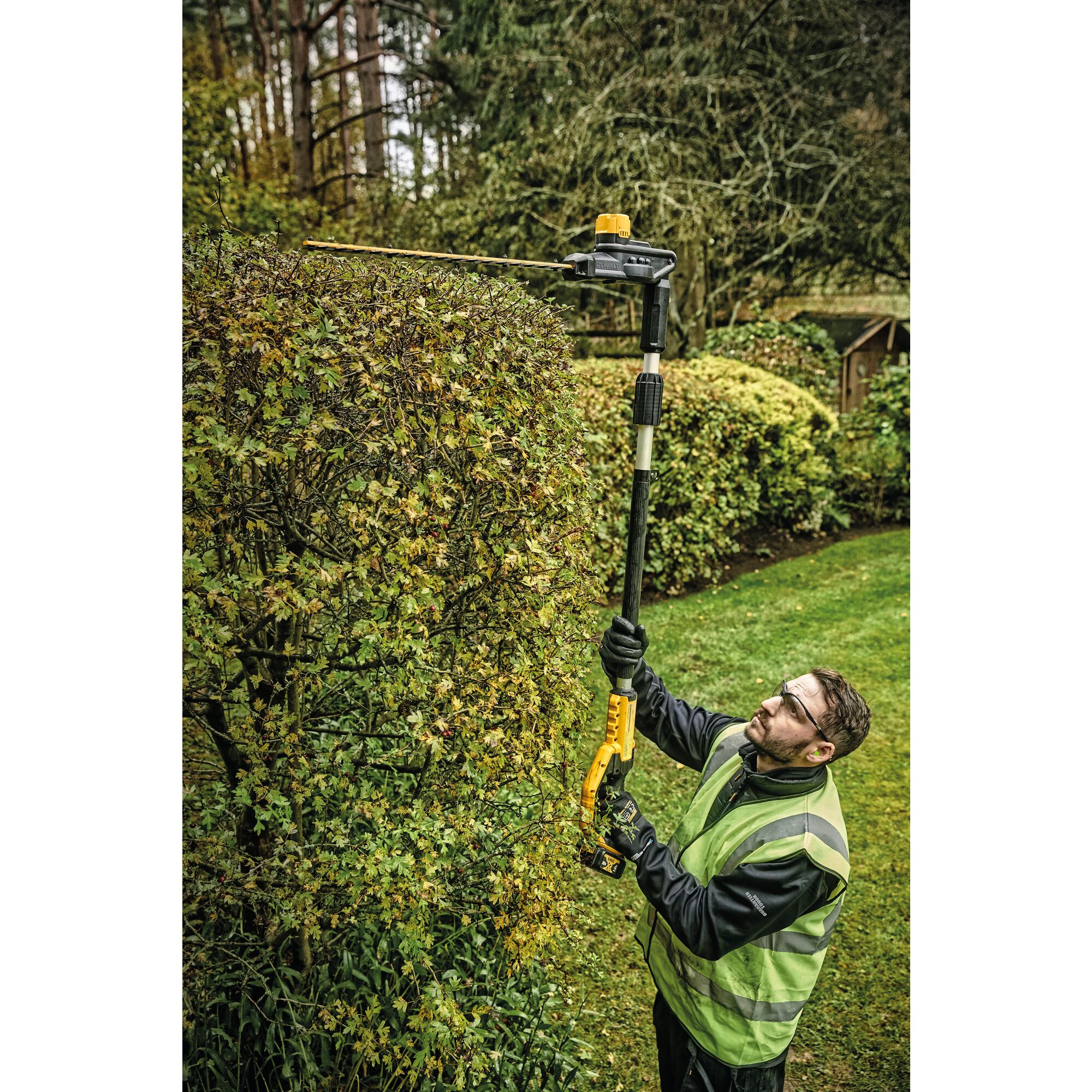 Stihl pole deals hedge cutter