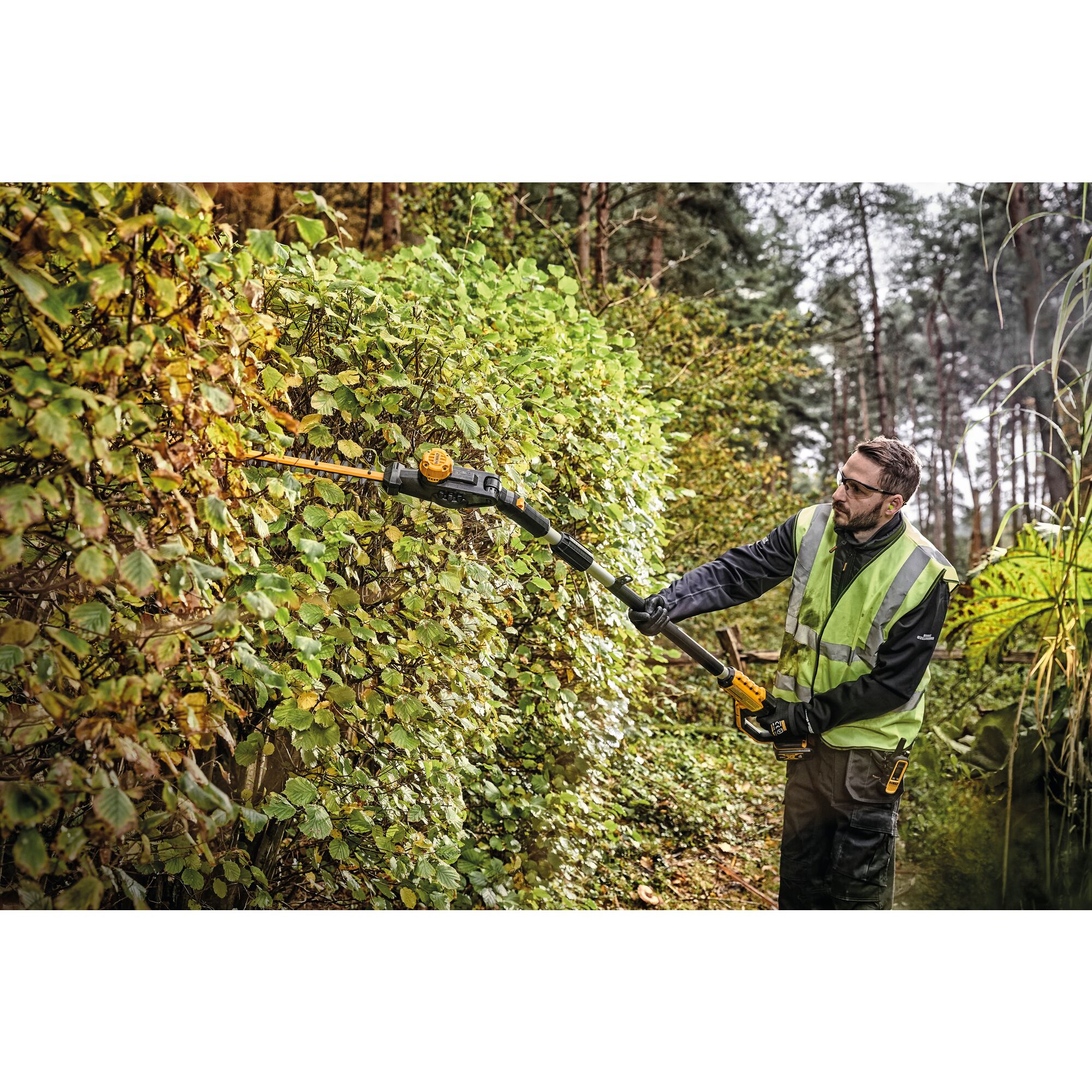 Dewalt pole deals hedge trimmer combo