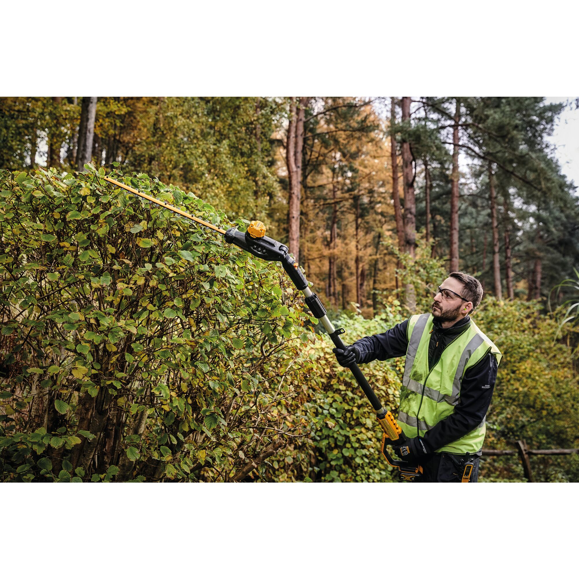 Dewalt long reach on sale hedge trimmer