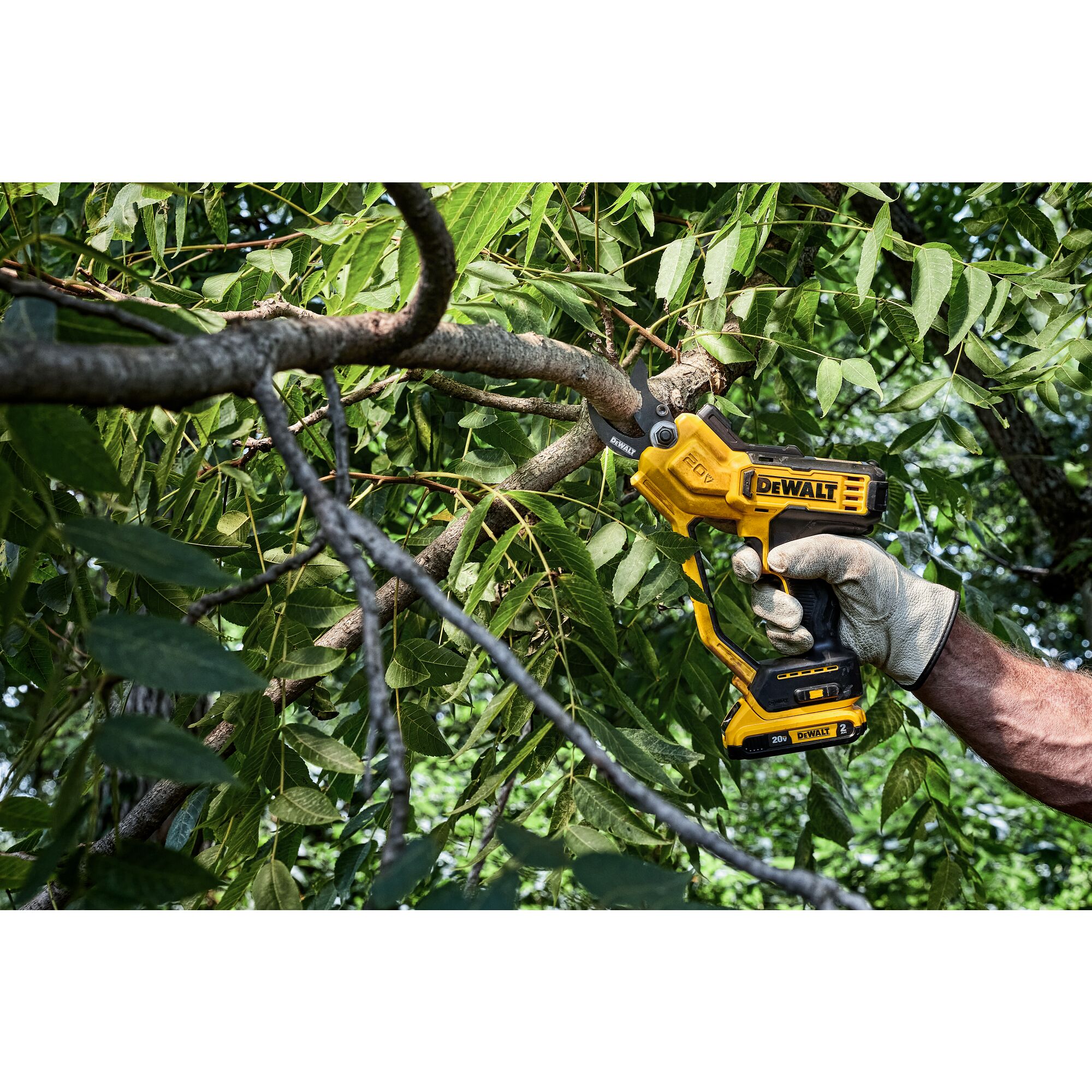 20V MAX 1 1 2 in. Cordless Pruner DEWALT