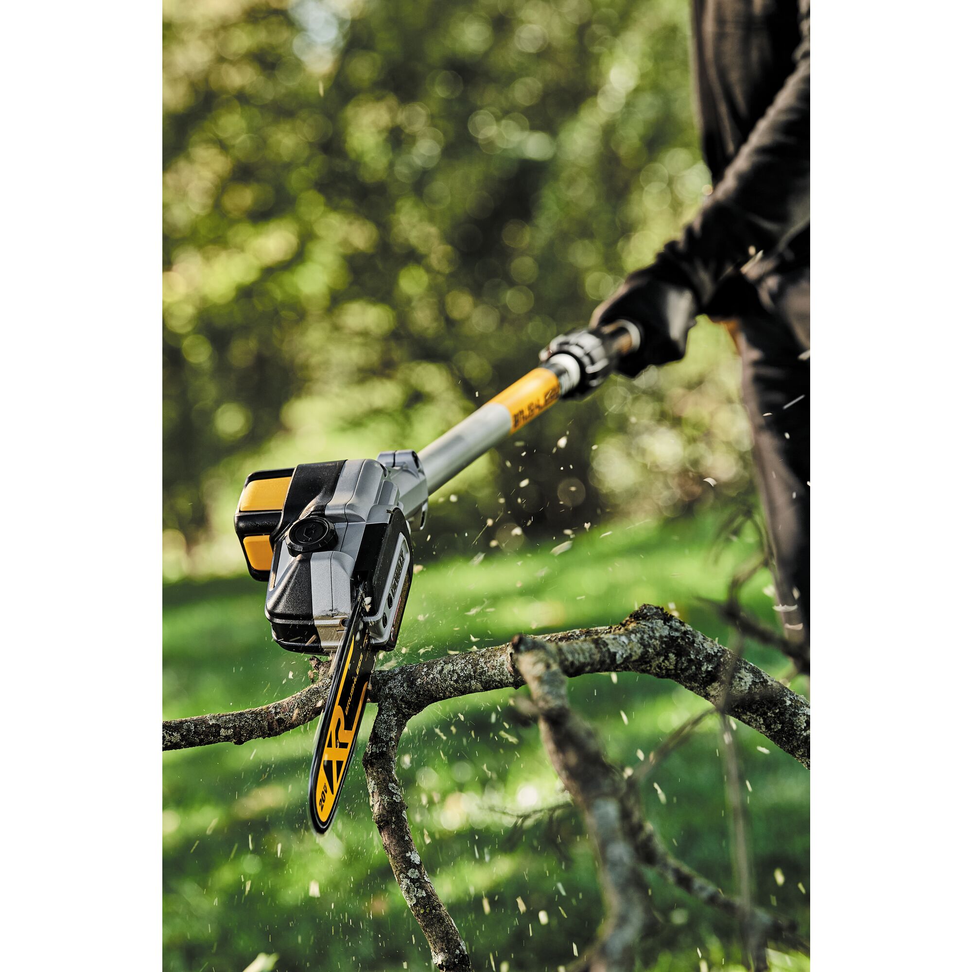 Dewalt pole online saw oil