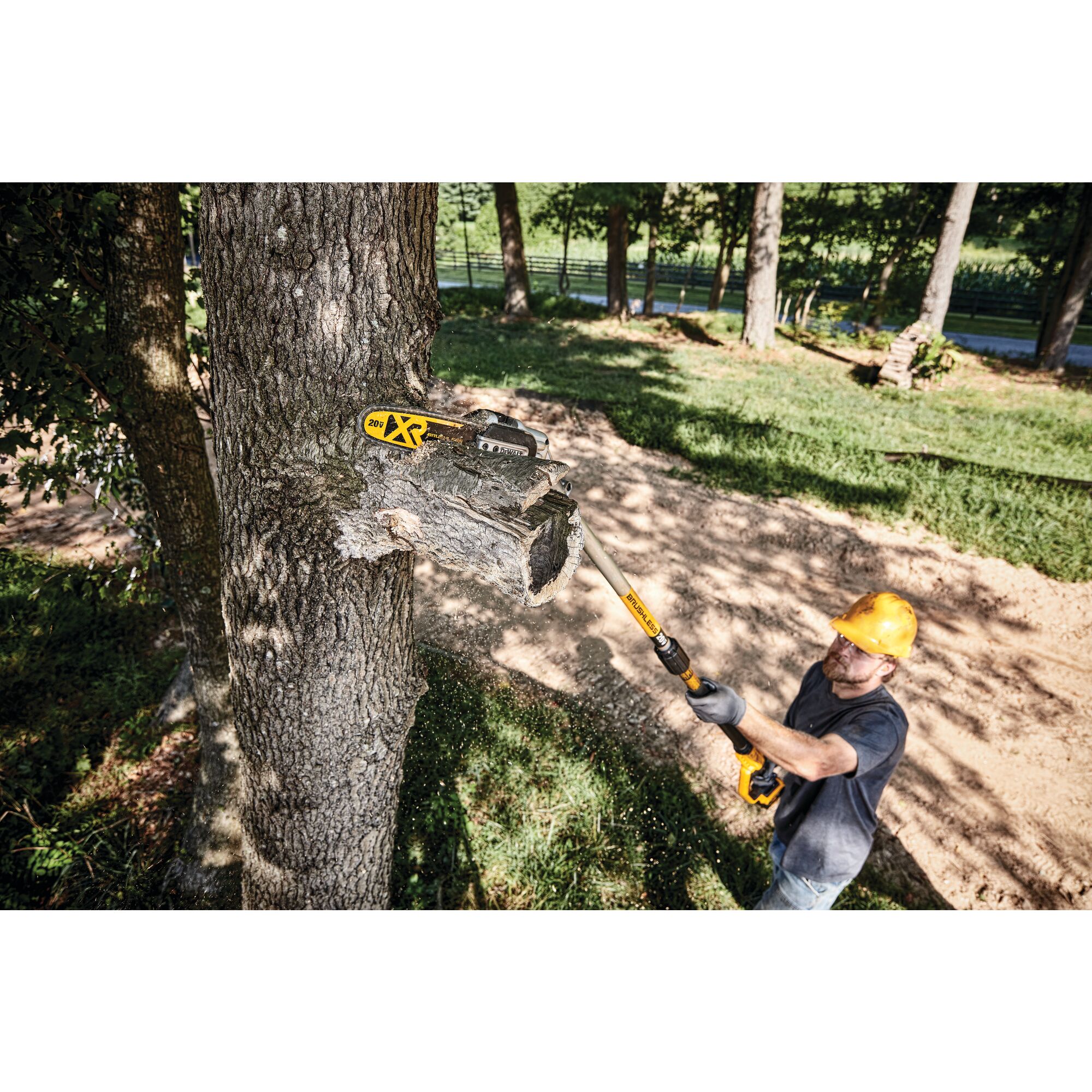 Dewalt cordless store pole saws